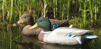 Lockvogel Ente mit Schwimmkeil